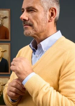 Hampshire Lambswool Jumper In Canary - Classic Fit -Elegant Wear World Hampshire lambswool jumper canary 2