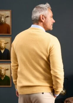 Hampshire Lambswool Jumper In Canary - Classic Fit -Elegant Wear World Hampshire lambswool jumper canary 4