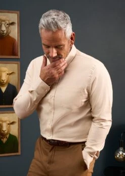 Men's Cotton Button Down Brown Shirt - Regular Fit -Elegant Wear World Mens Button Down Shirt Light Brown 3