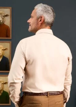 Men's Cotton Button Down Brown Shirt - Regular Fit -Elegant Wear World Mens Button Down Shirt Light Brown 5