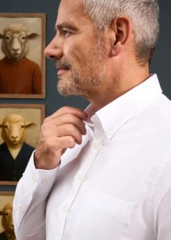 Men's Cotton Button Down White Shirt - Regular Fit 7 Men's Cotton Button Down White Shirt - Regular Fit -Elegant Wear World Mens Button Down Shirt White 2