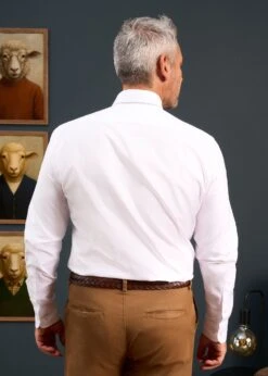 Men's Cotton Button Down White Shirt - Regular Fit 8 Men's Cotton Button Down White Shirt - Regular Fit -Elegant Wear World Mens Button Down Shirt White 3