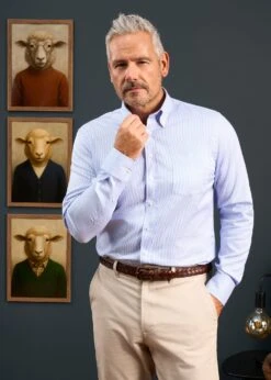 Men's Cotton Button Down Blue Striped Shirt - Regular Fit -Elegant Wear World Mens Cotton Button Down Shirt Blue Striped 3