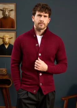 Landford Men's Lambswool Buttoned Jumper In Bordeaux - Regular Fit -Elegant Wear World Mens Lambswool Marck Neck Jumper Bordeaux 1