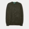 Dorset Men's Lambswool Jumper In Seaweed - Classic Fit -Elegant Wear World lambswool sweater dorset seaweed
